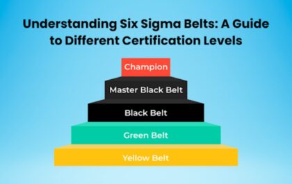 six sigma belts